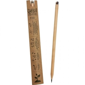 Tohumlu Kurşun Kalem